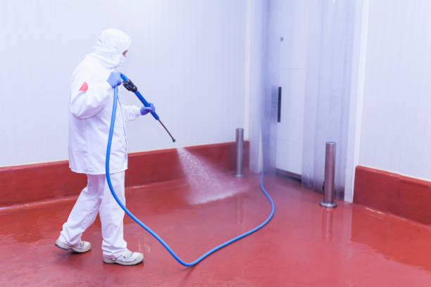 Best Soft Washing for Delicate Surfaces in Salem, NJ